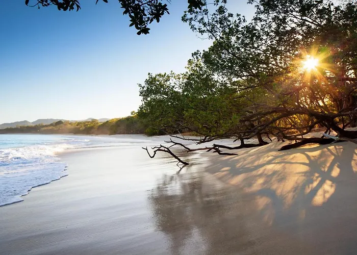 Resort W Costa Rica -